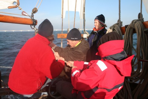 Schiff 990017 � zeilklipper Zierikzee � Nieuwe Maen