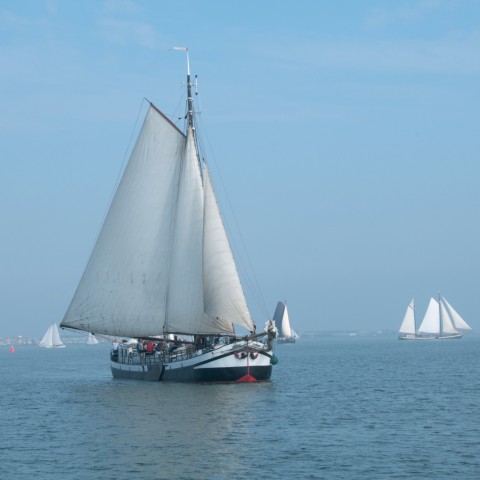 Schiff 990023 � Steilsteven Hoorn � Rival