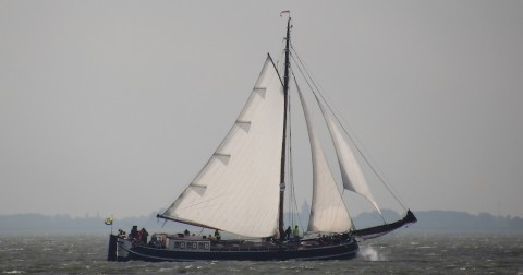 Schiff 990058 � Zeetjalk Monnickendam � ORION