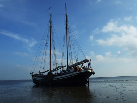 Schiff 990062 � Zeeuwse klipper Harlingen � Eendracht