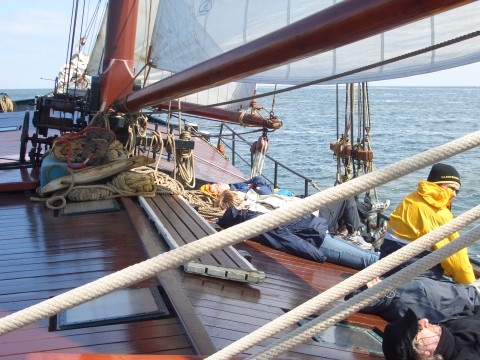 Schiff 990062 � Zeeuwse klipper Harlingen � Eendracht
