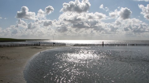 Schiff 990085 � Tjalk Harlingen � Aagtje